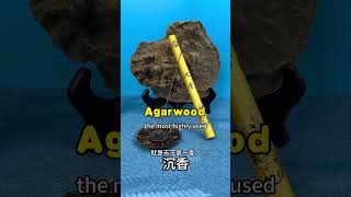 Agarwood incense 沉香线香#agarwoodincense #incense #沉香 #线香 #沉香线香