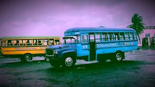 The world’s greatest Samoan party buses #samoa #samoan #bus