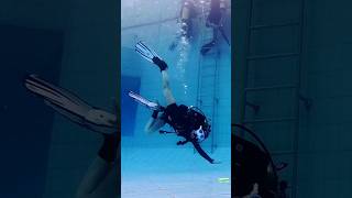 [레벨업 리마] 큰일이다 뻘짓 금지령 내려짐 #scubadiving #scuba #스쿠버다이빙