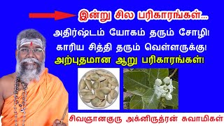 அதிர்ஷ்டம்  யோகம் தரும் சோழி! காரிய சித்தி பெற! அசத்தலான ஆறு பரிகாரங்கள்!