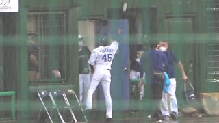 試合が雨天中止となったお詫びにファンにボールをプレゼントする土田龍空 (2022/07/12)