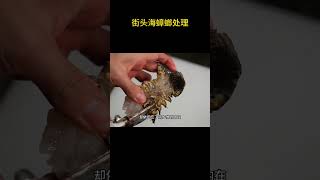 街头海蟑螂处理，做成刺身 #海蟑螂 #九齿扇虾