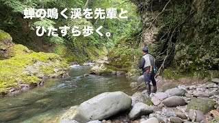 【北海道渓流釣り】大学時代の先輩に焼肉ご馳走になりました！ではなく釣り上がりました