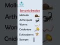 invertebrates shorts youtubeshorts shortsfeed