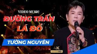 Đường Trần Lá Đổ | Tường Nguyên