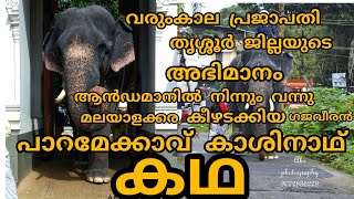 PARAMEKKAVU KASINATHAN|story ഗജം |പാറമേക്കാവ് കാശിനാഥൻ |കഥ