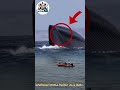 Enormous Whale Nearly Hits Boat! You Won't Believe What Happens Next #amazing #movie