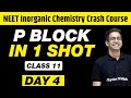 P BLOCK in 1 Shot - All Concepts, Tricks & PYQs | Class 11 | NEET