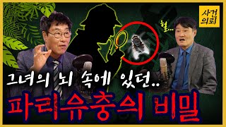 사건 당시의 진실은 파리 유충이 알고있다?!