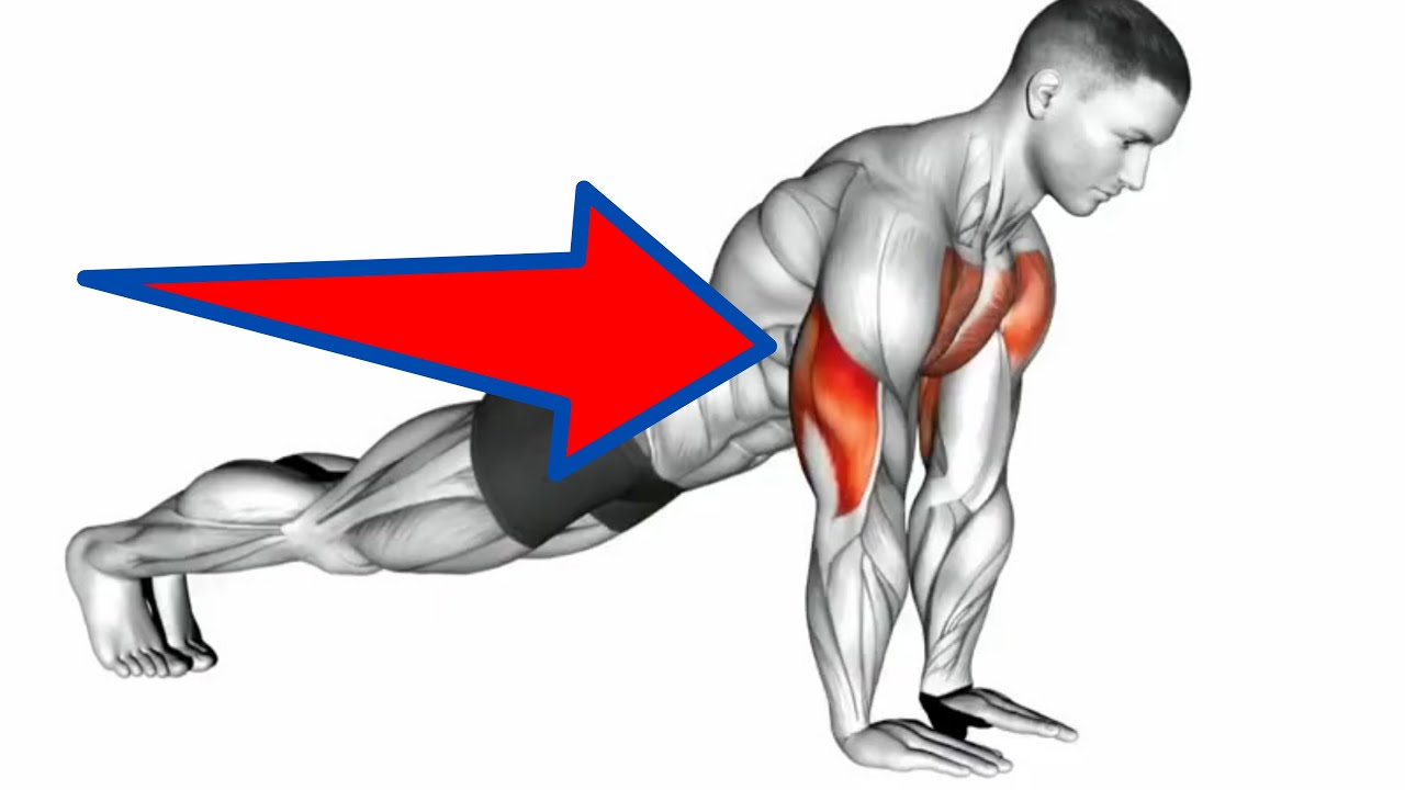 Full Triceps Workout At Home Without Equipment At Noah Marryat Blog