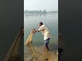 amazing net fishing video best net fishing video river net fishing with old fisherman