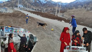 Nomadic family doing service work and nomadic children playing football with dogs