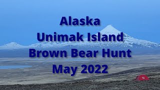 Alaska Unimak Brown Bear Hunt May 2022