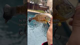 This is an $80 swimbait…💀 #fishing #shorts