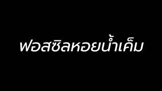 พบฟอสซิลสุสานหอยกาบ ฟอสซิลหอยน้ำเค็ม ยุคเพอร์เมียน อายุราว 270-290ล้านปี