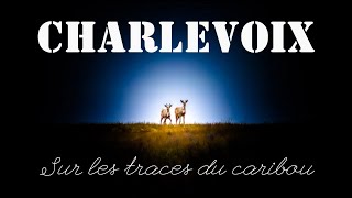 CHARLEVOIX – SUR LES TRACES DU CARIBOU