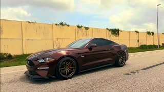 2018 Mustang GT - Royal Crimson - High Speed Shots