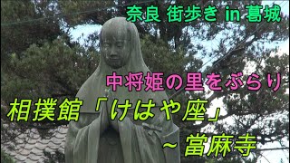 奈良 街歩き61 相撲館「けはや座」～當麻寺　中将姫の里をぶらり　in 葛城 (with English subtitles )　参道の名物もご紹介！（勝手にPR）