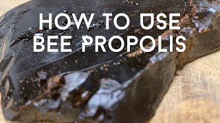 How to Make Bee Propolis Salve and Lip Balm