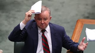 Albanese’s plea for criminal not to be deported is ‘red hot’