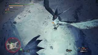 [PS4][MHW:IB][2020]#96風霜高潔のハンター「凍て刺すレイギエナ」太刀ソロ攻略考察