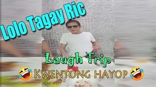 KATATAWANANG KWENTO ni Lolo Tagay Ric: Paano patakbuhin ang kabayo?