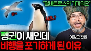 펭귄은 왜 뒤뚱뒤뚱 걷도록 진화했을까 ? | 과학정모 EP.21