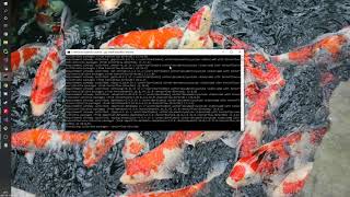 Tensorflow using an AMD GPU, Python, Windows 10