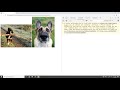 Odense Class01 - JS 3 - week 2 (1/5)