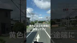 信号が青になっても危険なワケ #shorts