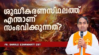 ശുദ്ധീകരണസ്ഥലത്ത് എന്താണ് സംഭവിക്കുന്നത്?  | Purgatory  | Fr Sharlo Ezhanikatt CST |  Malayalam Talk