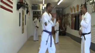 Self Defense Class with Sensei Delgado #3  5-4-2014