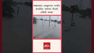 માણાવદર તાલુકાના પાજોદ સરડીયા ગામના ખેતરો દરિયો બન્યા