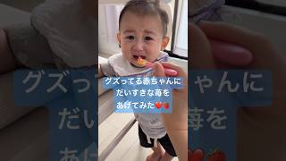 反応がかわいすぎる🤣❤️ #生後10ヶ月 #shorts #育児 #赤ちゃん#子育て#あかちゃん #男の子赤ちゃん