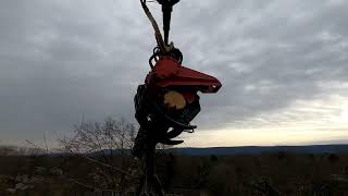 Mecanil SG280 grapplesaw on Palfinger PK92 rear mount crane Removing a 55 inch Maple tree