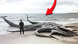 Alabama Fisherman Discovered a Creature That Shouldn't Exist STILL Crawling on the Beach!