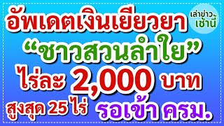 อัพเดตเงินเยียวยา “ชาวสวนลำใย” ไร่ละ 2,000 บาท สูงสุด 25 ไร่ รอเข้า ครม.