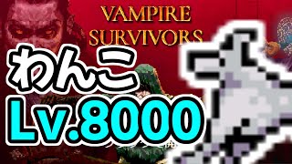 [Vampire Survivors] わんこでレベル8000 (O'sole Meeo Level 8000) 犬 Il Molise イル・モリーゼ ヴァンパイア サバイバーズ #steam