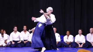 Aikido Florida Aikikai: Lynne Morrison Shidoin at 2017 Hatsume Fair