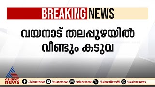 വയനാട്ടിൽ വീണ്ടും കടുവ; ​ഗോദാവരി മേഖലയിൽ കടുവയെ കണ്ടത് ഇന്നലെ രാത്രി