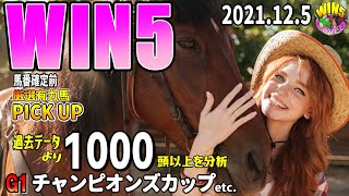 WIN5競馬予想 的中へ1000頭以上をデータ分析2021.12.5win5 チャンピオンズカップG1etc.WIN5