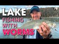 Lake Fishing STRATEGY with Beach Worms - An AWESOME Bait!