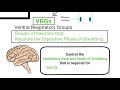 regulation of breathing quick and simple explanation