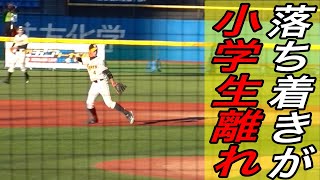 こんな余裕で守備をする小学生見た事ないで！阪神タイガースJrのショート大西君の坂本勇人っぽい流れるような守備！！