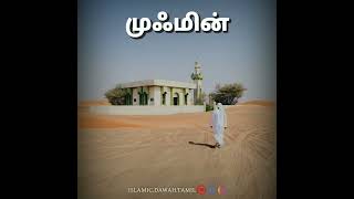 முஃமின் #naamislamic #tamilbayan #islam #shorts