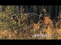 In Tune with the Trees Promo | Georgia Outdoors