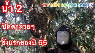 ตีผึ้งรังแรกของปี65น้ำ2หัวน้ำปิดตาสวยๆ