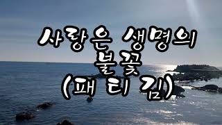 #사랑은 생명의 불꽃 #패티김  #동천 박원식 색소폰  #영덕 솔마루 색소폰