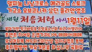 #델피늄 #나낭크로스 #메리골드 #목마가렛 #은엽가자니아 #동백 #은방울수선화 처음처럼야생화