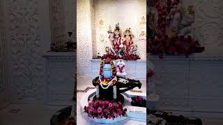 Namo Namo Ji Shankara | Mahadev Mandir In Dubai | #mahadev #bholebaba #mahakal #shivshankar #shiv